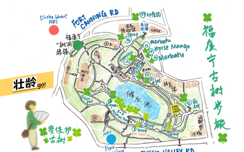 步入福康宁公园寻古树，沿途有许多值得分心的美好景物，包括标上详细说明，具历史意义的植物。（陈映蓁手绘）